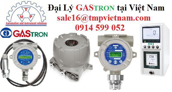 GTD-6000Tx Combi Gas Dedector Gastron