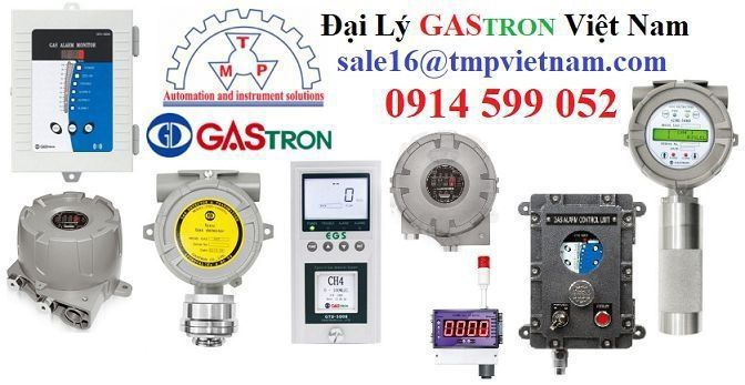 GTD-1000Ex Combustible Gas detector Gastron