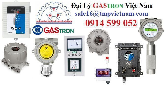 GTD-2000Ex GAS DETECTOR GASTRON