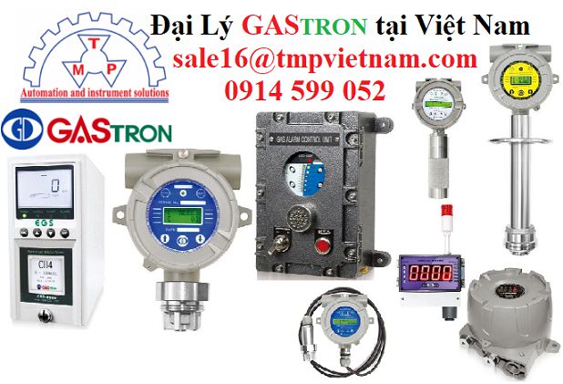 GTD-3000Ex GAS DETECTOR GASTRON