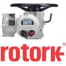 Electric Valve Actuator Rotork - Rotork Việt Nam