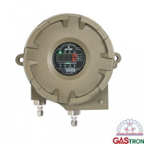 Toxic Gas Detector GTD-5000F Tx Gastron | Máy dò khí độc GTD-5000F Tx Gastron